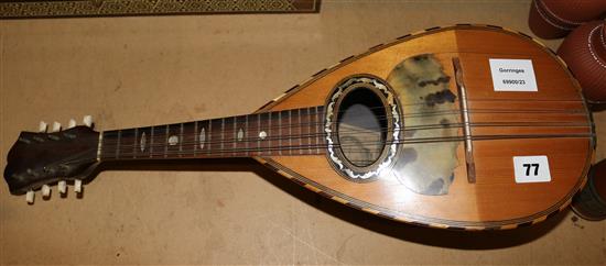 Neopolitan rosewood mandolin